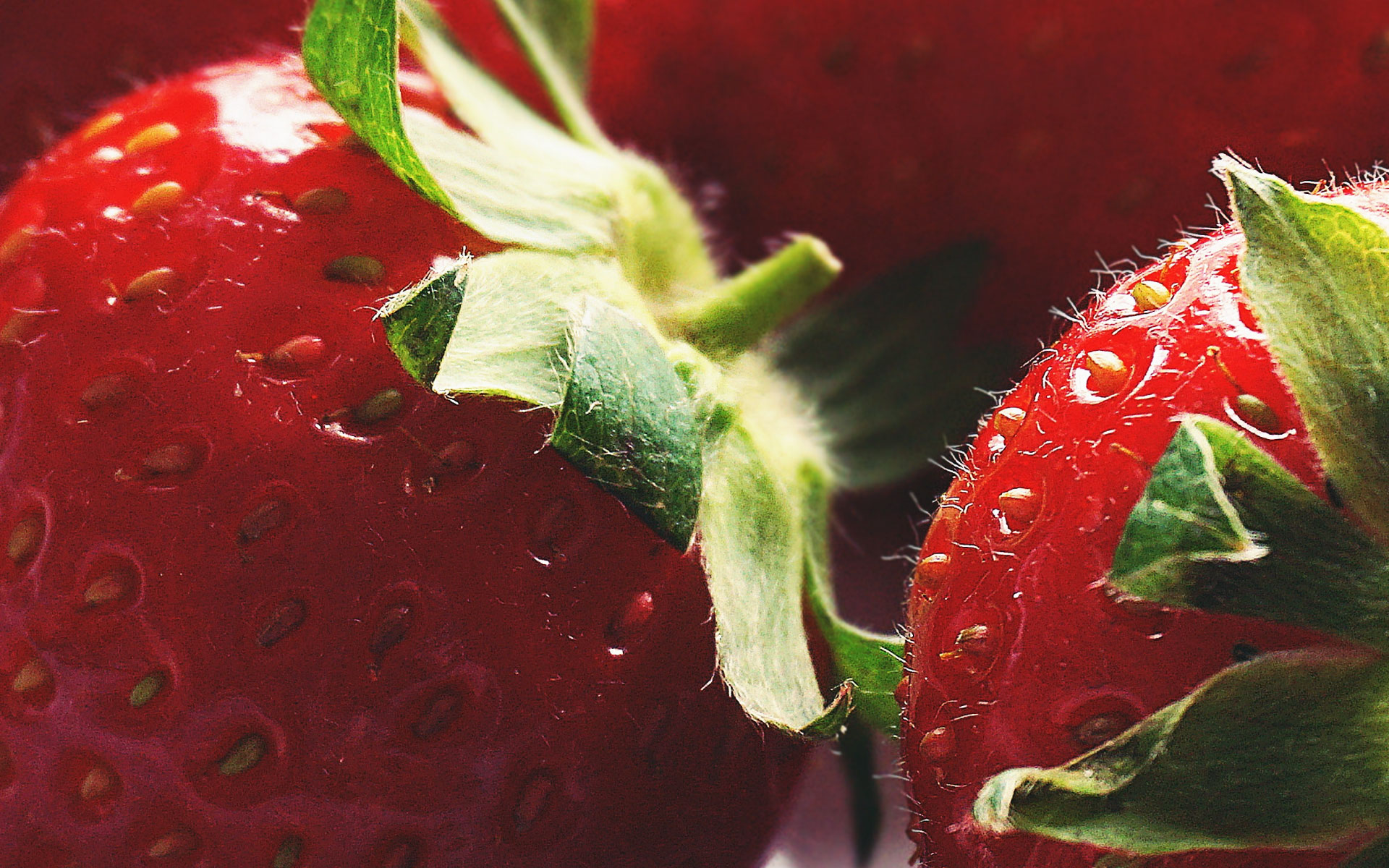 Strawberry & Basil soft sorbet